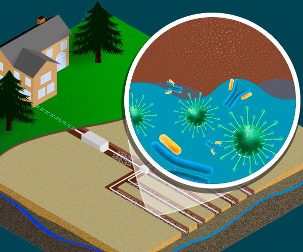 Keep your drain field from spreading viruses and germs