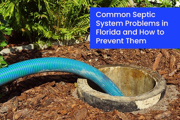 CommonSepticSystemProblemsinFloridaandHowtoPreventThem