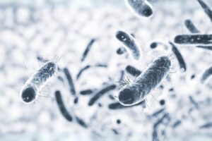 How Bacteria Are Your Septic System's Unsung Heroes