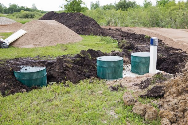 Maintaining a Healthy Septic Tank Finding the Right Ridex Schedule