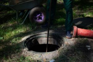 How Tree Roots Can Damage Your Septic Tank and How Pumping Helps