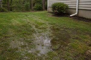 What Your Yard Is Quietly Revealing About Your Septic System