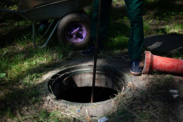 Tree Roots vs. Septic Tanks: How Pumping Helps